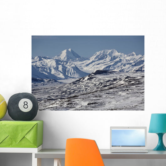 Scenic View Of Alaska Range As Seen From The Denali Highway Wall Mural