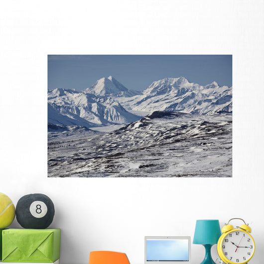Scenic View Of Alaska Range As Seen From The Denali Highway Wall Mural