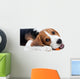 Beagle Puppy Eating Wall Decal