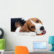 Beagle Puppy Eating Wall Decal