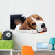Beagle Puppy Eating Wall Decal