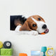 Beagle Puppy Eating Wall Decal