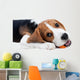 Beagle Puppy Eating Wall Decal