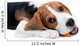Beagle Puppy Eating Wall Decal