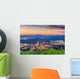 Roanoke Virginia Usa Skyline Wall Decal