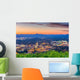 Roanoke Virginia Usa Skyline Wall Decal
