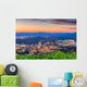 Roanoke Virginia Usa Skyline Wall Decal