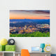 Roanoke Virginia Usa Skyline Wall Decal