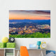 Roanoke Virginia Usa Skyline Wall Decal