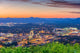 Roanoke Virginia Usa Skyline Wall Decal