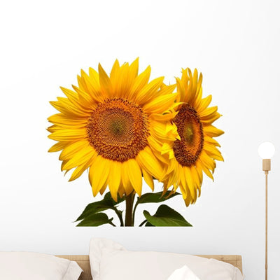 Two Sunflowers White Wall Decal shown on a wall