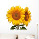 Two Sunflowers White Wall Decal