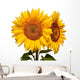 Two Sunflowers White Wall Decal