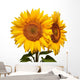 Two Sunflowers White Wall Decal