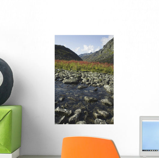 Scenic View Of Fireweed And A Small Shallow River Wall Mural