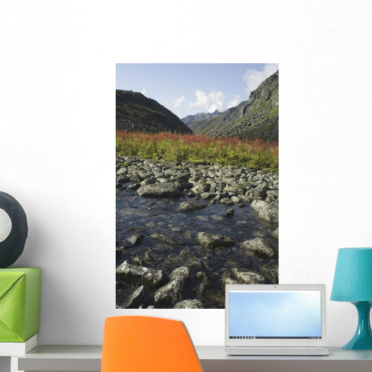 Scenic View Of Fireweed And A Small Shallow River Wall Mural