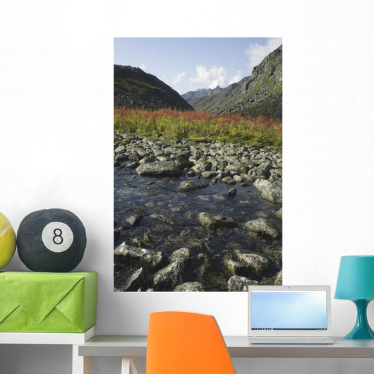 Scenic View Of Fireweed And A Small Shallow River Wall Mural