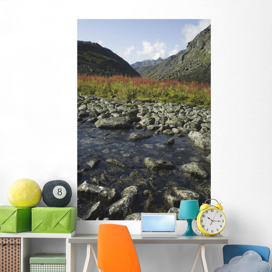 Scenic View Of Fireweed And A Small Shallow River Wall Mural