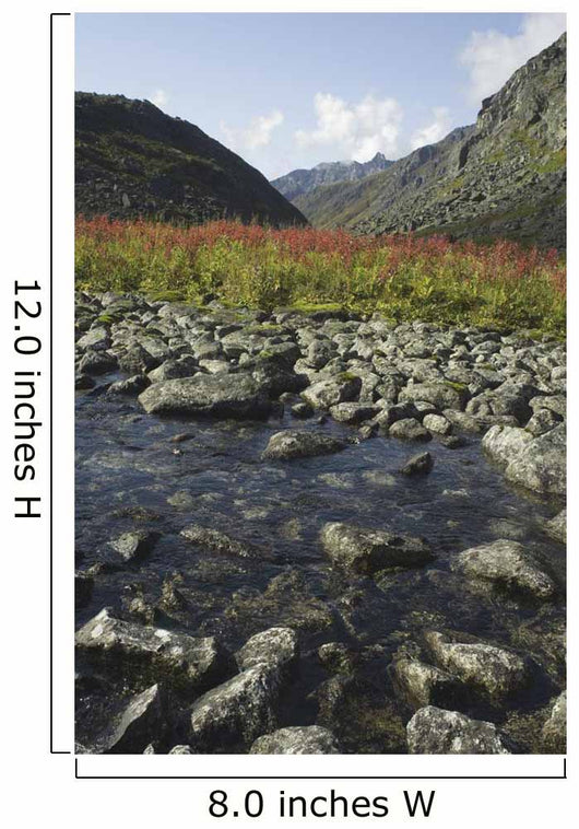 Scenic View Of Fireweed And A Small Shallow River Wall Mural