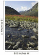 Scenic View Of Fireweed And A Small Shallow River Wall Mural