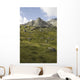 Scenic Of High Rugged Mountain Peaks And Green Tundra Hillside Wall Mural