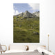 Scenic Of High Rugged Mountain Peaks And Green Tundra Hillside Wall Mural
