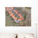 Elbe Hochwasser Wall Decal Design 1