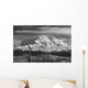 Infrared Image Of Mt Mckinley's North Face Wall Mural