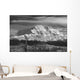 Infrared Image Of Mt Mckinley's North Face Wall Mural