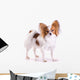 Dog of Breed Papillon Wall Decal