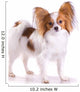 Dog of Breed Papillon Wall Decal