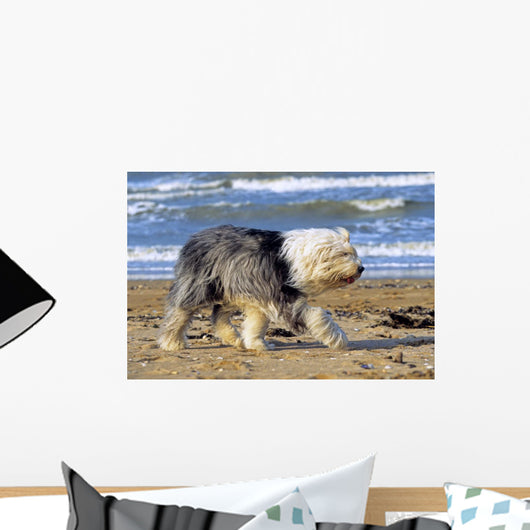 Bobtail Walking Beach Holiday