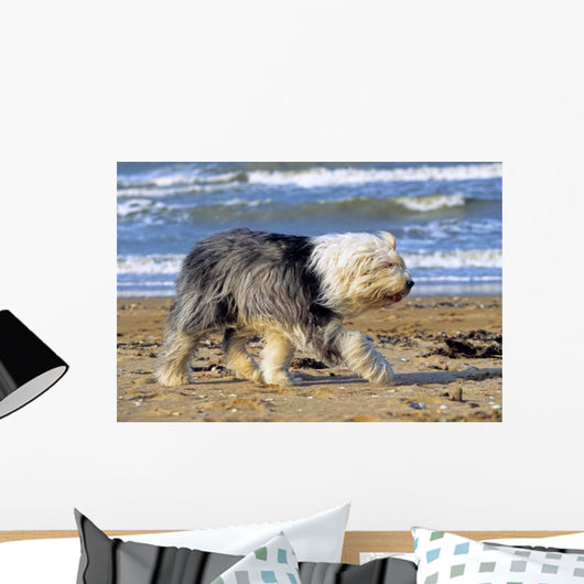 Bobtail Walking Beach Holiday
