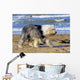 Bobtail Walking Beach Holiday