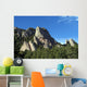 the flatirons Wall Mural
