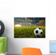 Soccer Penalty Kick Wall Mural