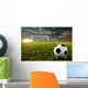 Soccer Penalty Kick Wall Mural