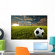 Soccer Penalty Kick Wall Mural