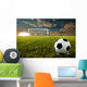 Soccer Penalty Kick Wall Mural