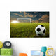 Soccer Penalty Kick Wall Mural