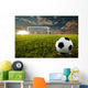 Soccer Penalty Kick Wall Mural