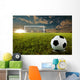 Soccer Penalty Kick Wall Mural
