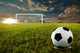 Soccer Penalty Kick Wall Mural