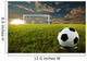 Soccer Penalty Kick Wall Mural
