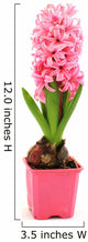 Pink flower Wall Decal