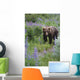 Captive Wall Mural