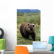 Captive Grizzly Bear At The Alaska Wildlife Conservation Center Alaska Wall Mural