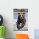 Captive Female Brown Bear At The Alaska Wildlife Conservation Center Wall Mural