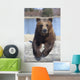 Captive Female Brown Bear At The Alaska Wildlife Conservation Center Wall Mural