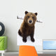 Captive Brown Bear Sitting In Snow Wall Mural